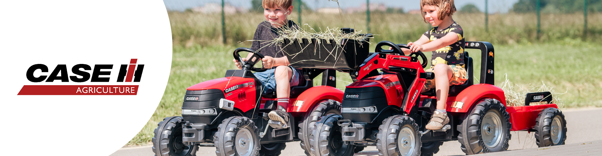 Case IH